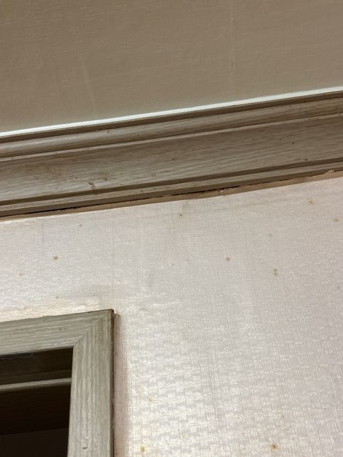 집 바닥,벽 금 많이 가고 사진 처럼 내려가기 시작하네요의 1번 째 이미지