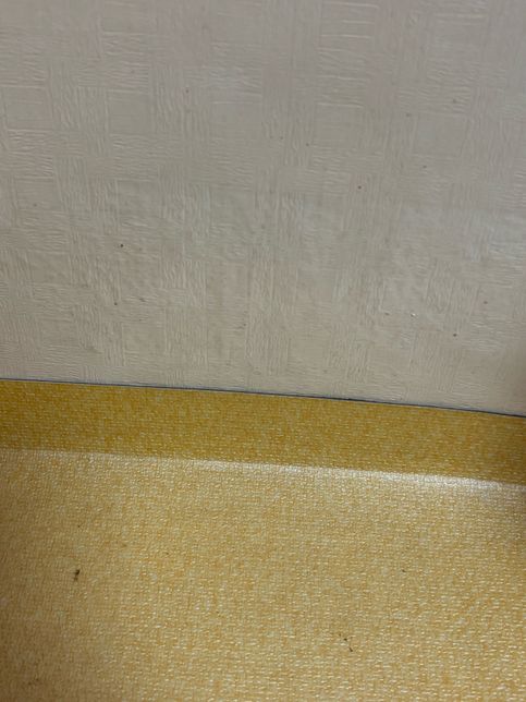 셀프 인테리어 하려는데 위로 올라온 장판 어떻게 하면 좋을까요?의 0번 째 이미지