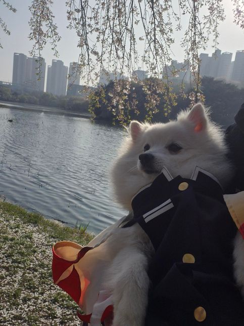 mcu 드랙스와 스파이더맨중에 신체내구력과 근력은 누가더 우세라고 볼수 있나요?의 0번 째 이미지