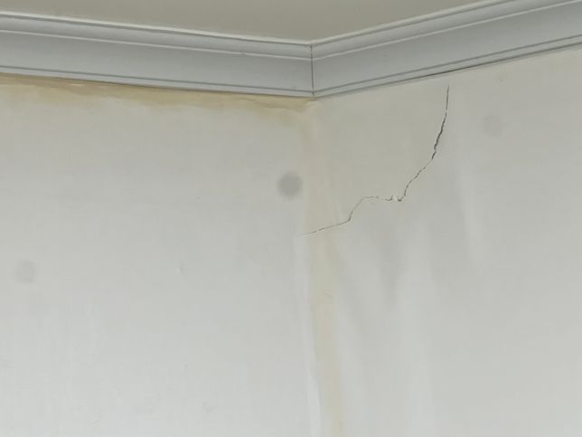 전세집 들어가려는데 벽지 풀 자국인지 곰팡이인지의 0번 째 이미지