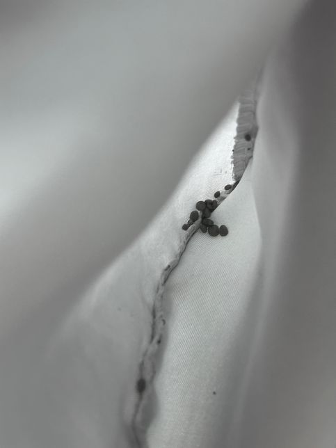 탄산소다로 세탁했더니 검은색 알갱이 찌꺼기들이 엄청 나옵니다.의 1번 째 이미지