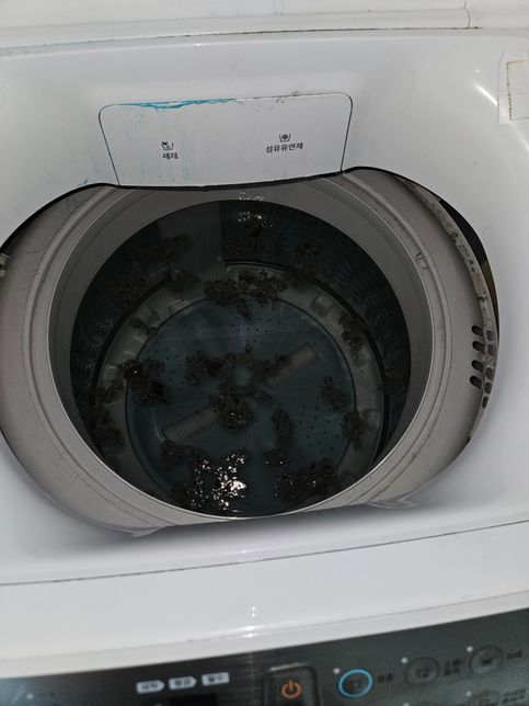 통돌이 세탁기 청소 관련해서 집주인과 분쟁의 3번 째 이미지