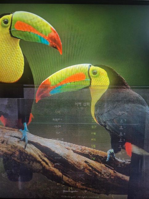 컴퓨터 화면에 하던 게임 화면 잔상이남아요의 0번 째 이미지