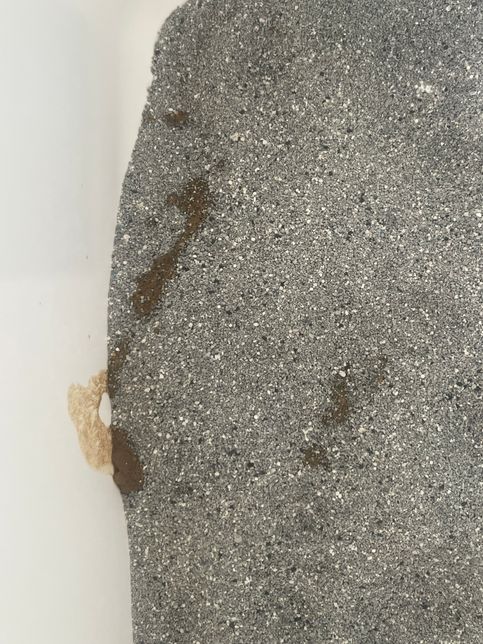 고양이가 새벽에 토했어요ㅠㅠㅠㅠㅠ의 3번 째 이미지