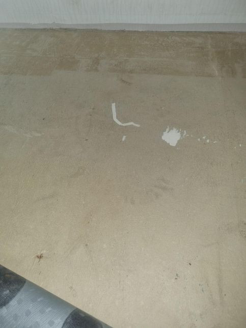 보이러실쪽 방 거실 습기요 방장판뜯어봤는데요의 0번 째 이미지