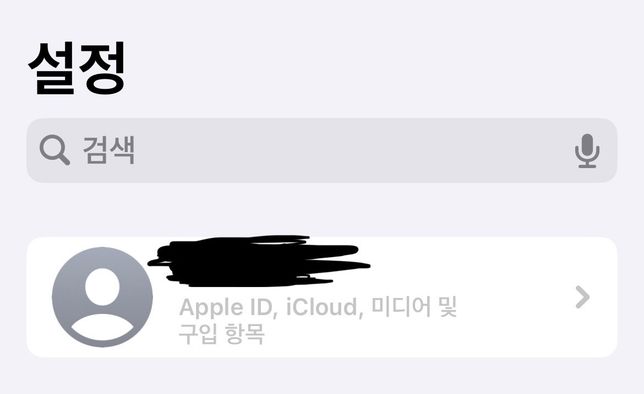 아이폰 유저인데 애플 아이디가 이상해요의 0번 째 이미지