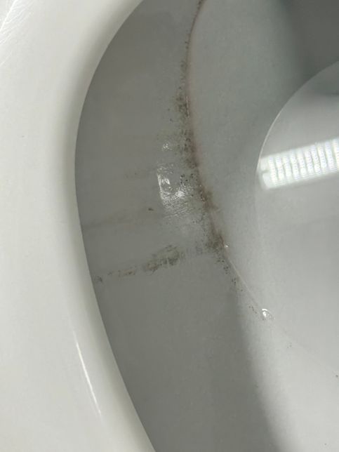 변기 물에 철가루?먼지? 같은게 있어요의 0번 째 이미지