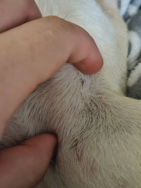 왜그런가요 이유좀 알주세요제발요ㅠ의 0번 째 이미지