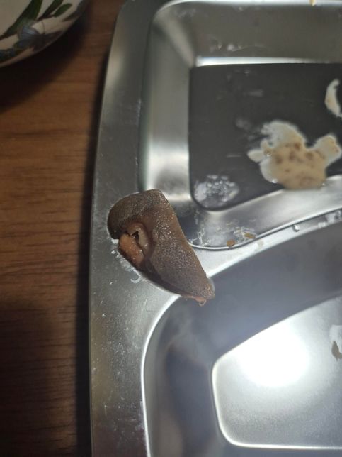 이거 보신탕인가요. 육개장인가요?의 2번 째 이미지