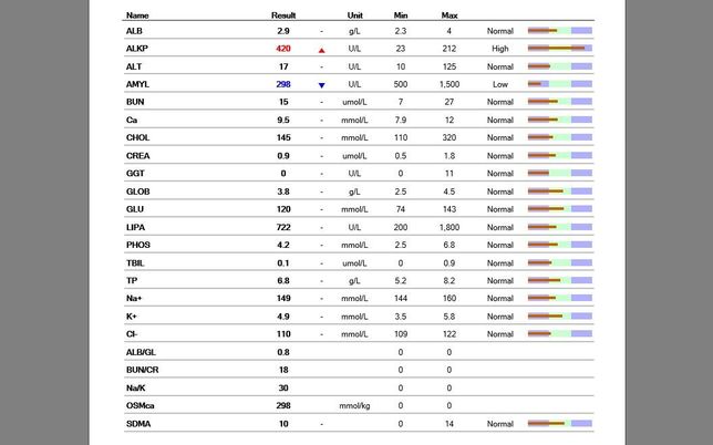 강아지가 어제 오후부터 이상해요 ㅜㅜ의 0번 째 이미지