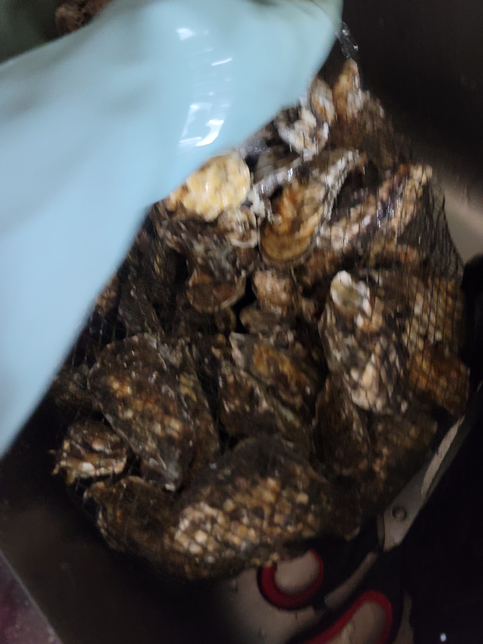 석화를 쉽게 가는 방법이 있을까요?의 0번 째 이미지