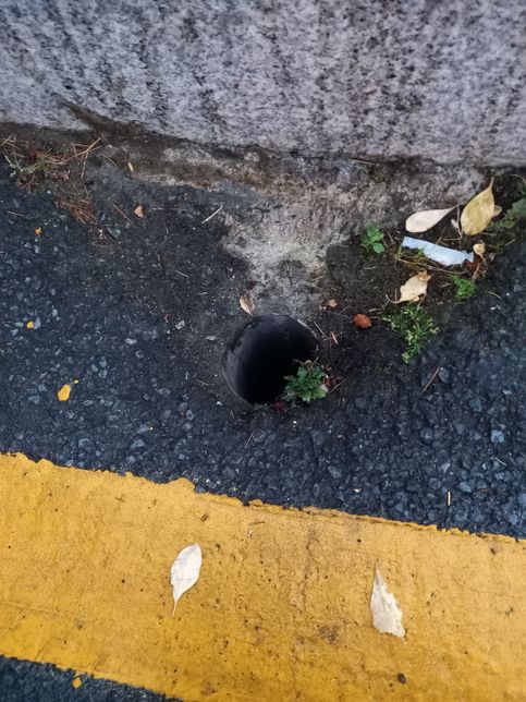 국가배상책임보험말고는 방법이없나요?의 0번 째 이미지