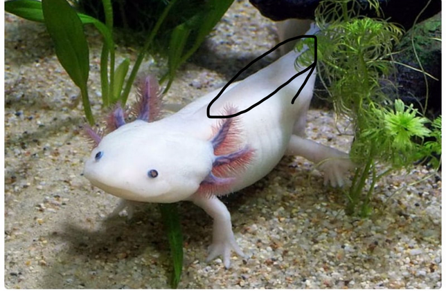 집을 청소해주다가 옮겨줄때 떨어트렸어요..의 0번 째 이미지