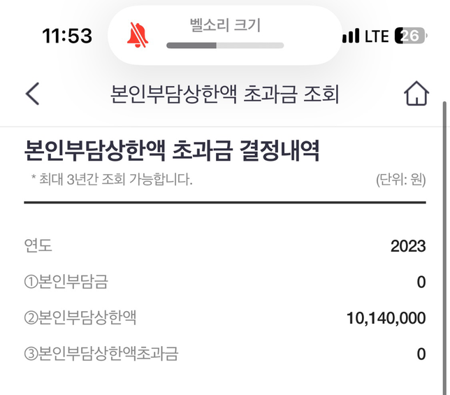 본인부담상한액 초과금 결정내역의 0번 째 이미지