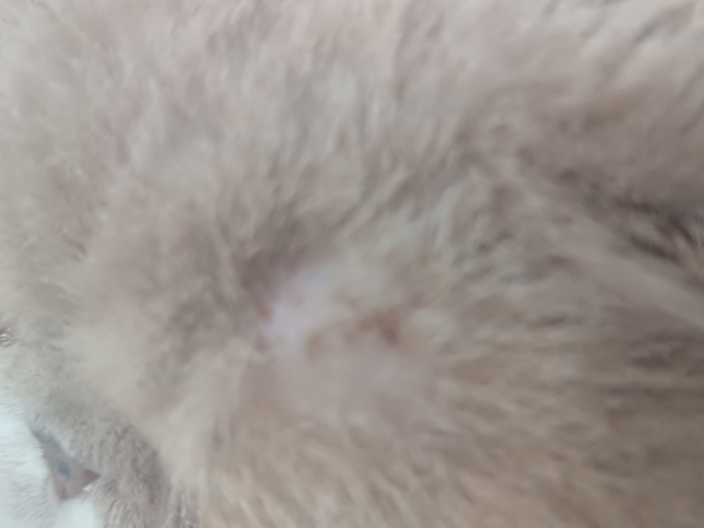 애기 피부가 이상해요 이거 왜 이런거죠?의 0번 째 이미지