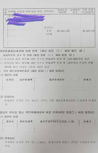 채무자가 개인회생을 신청했는데요?의 3번 째 이미지