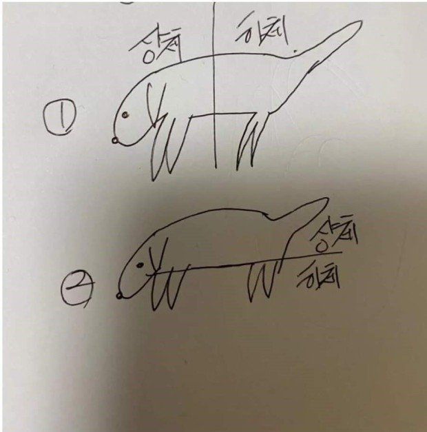 강아지 상체와 하체 어떻게 구분하나요?의 0번 째 이미지