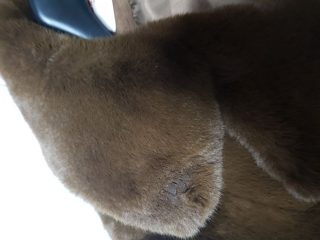 페이퍼 자켓 탄부분 복원혹은 수선가능한가요?의 0번 째 이미지