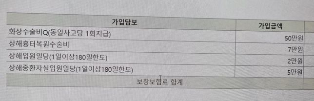 1년갱신형 <mark>실비보험</mark>만 있는아이 어린이<mark>보험</mark> <mark>가입내역</mark>?의 0번 째 이미지