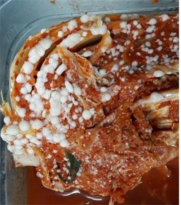 배추김치 하얀 기포(곰팡이)에 관해 문의드립니다.의 0번 째 이미지