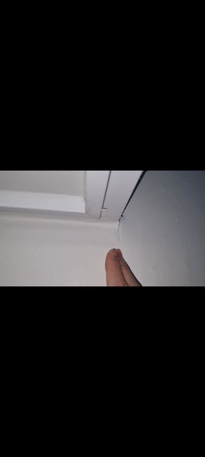 월세 벽지 손상 및 청소 비용의 0번 째 이미지