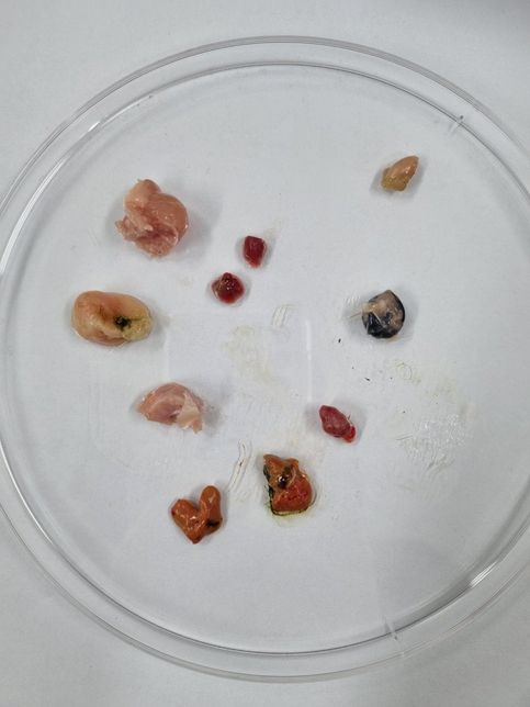 각 부위별 정확한 명칭이 궁금합니다의 0번 째 이미지