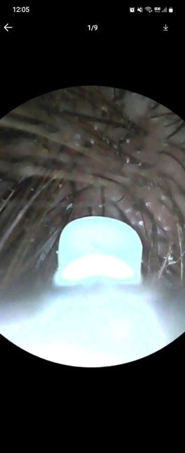 미용실 염색 후 염증 발생에 대한 처리여부의 1번 째 이미지