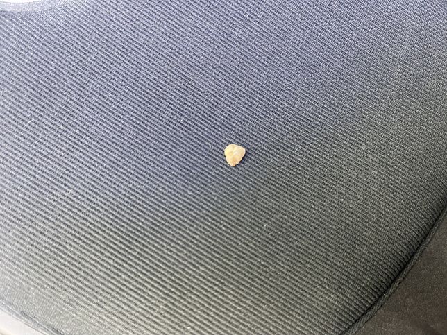 포장된 빵을 구매하여ㄷ 먹다가 딱딱한 이물질이 나왔습니다의 3번 째 이미지