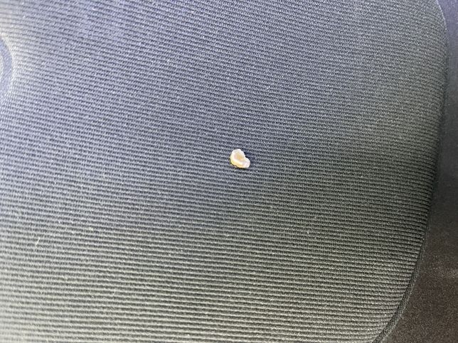 포장된 빵을 구매하여ㄷ 먹다가 딱딱한 이물질이 나왔습니다의 2번 째 이미지