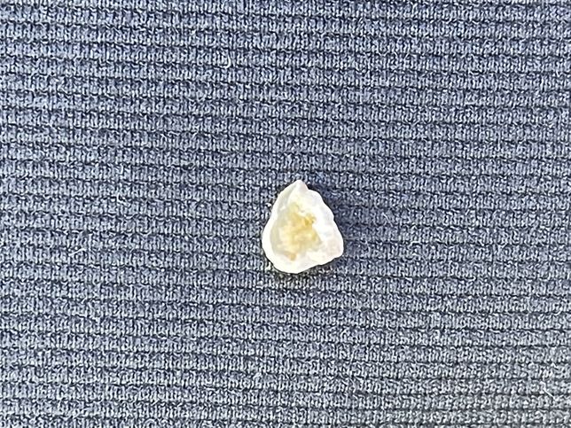 포장된 빵을 구매하여ㄷ 먹다가 딱딱한 이물질이 나왔습니다의 0번 째 이미지