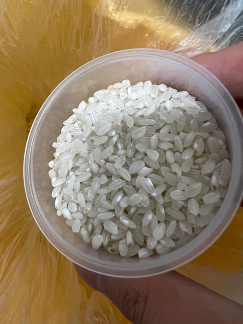 쌀 괜찮은건가요? 밥뜸들일때 김에서 구렁구렁 냄새가 좀 나요 밥맛은 정상입니다의 0번 째 이미지