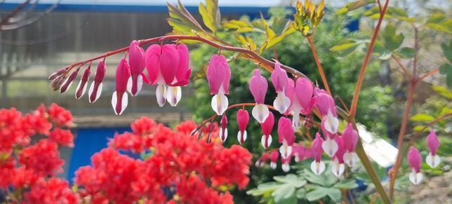 땀에 젖은 속옷 또는 잠옷 세탁법 알려주세요의 0번 째 이미지