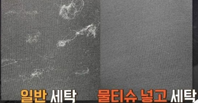 세탁할때 고양이 털 없애는 방법이 있을까요?의 0번 째 이미지