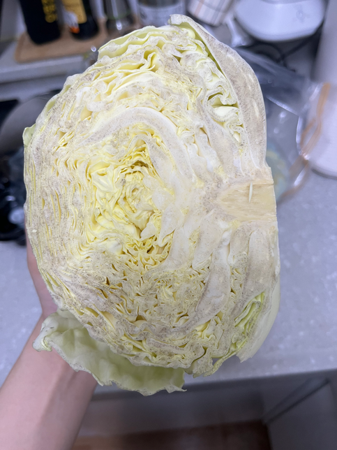 양배추 절단면 검은 점 먹어도 될까요?의 0번 째 이미지