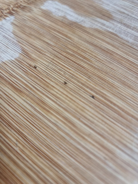 나무도마 곰팡이 제거방법이 있을까요?의 0번 째 이미지