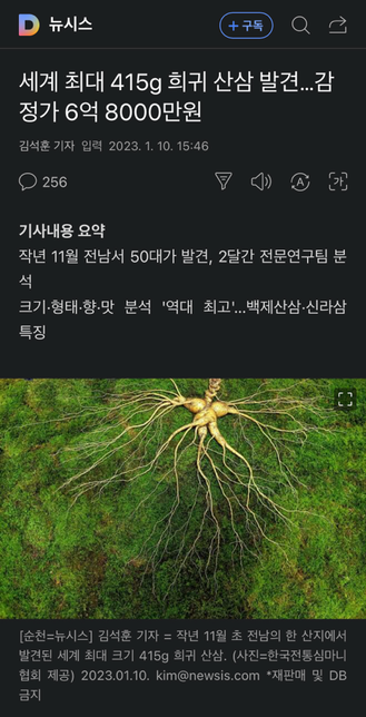 산삼은 장기보관이 가능한가요?의 0번 째 이미지