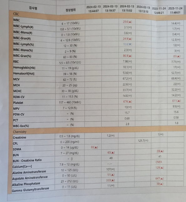 1년째 항암중 강아지 혈검결과 상태가 안좋은건지 봐주세요의 0번 째 이미지