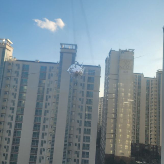 코킹작업중 유리창 깨졌는데 보상 번복시 조치방법은?의 0번 째 이미지