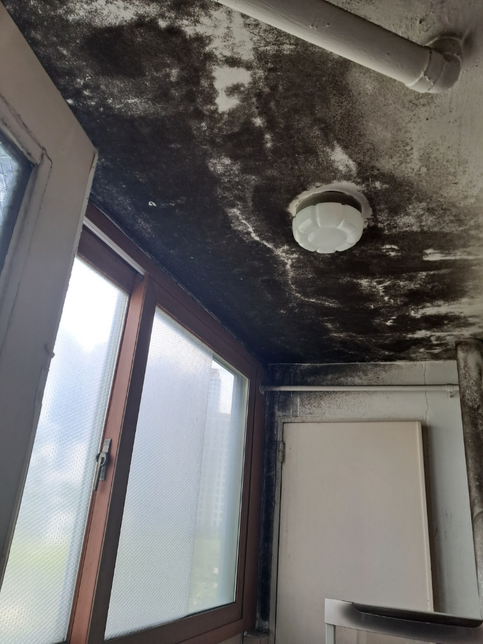 전세계약만료되어 우리가 들어가서살려는데원상복구의무는?의 0번 째 이미지