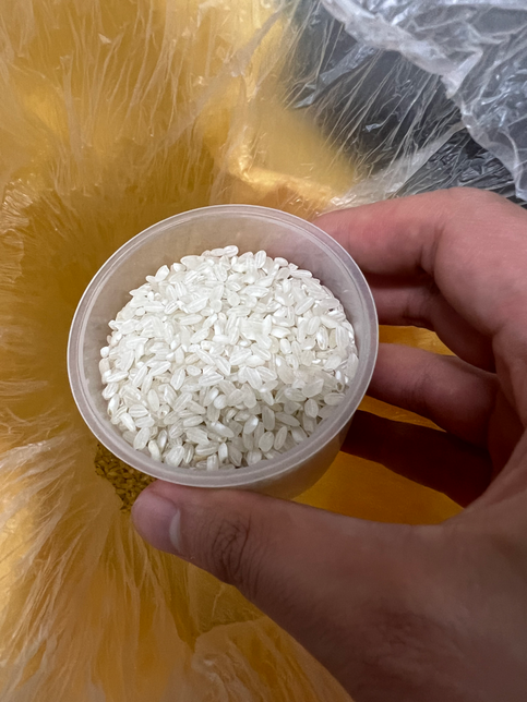 쌀 괜찮은건가요? 밥뜸들일때 김에서 구렁구렁 냄새가 좀 나요 밥맛은 정상입니다의 2번 째 이미지