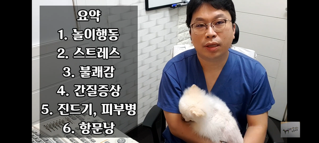 1살추정의 개가 자기꼬리 잡으려고 초스피드로 몇분간 도는거의 0번 째 이미지