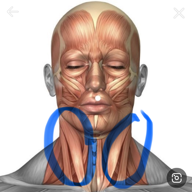 틱장애 약에는 대표적으로 어떤게 있나요 ?의 0번 째 이미지