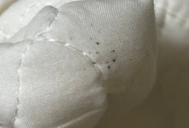 이불에 생긴 검정반점이 뭘까요?의 0번 째 이미지