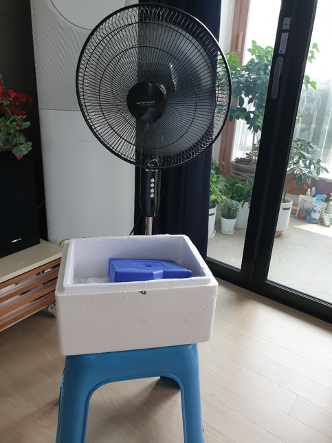 여름아이스박스에대해서물어볼까합니다!의 0번 째 이미지