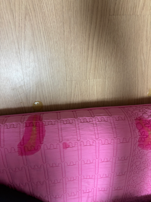 고양이가 방금 이런 토를 했는데 아픈걸까요?? 토에 털이 없어요의 0번 째 이미지