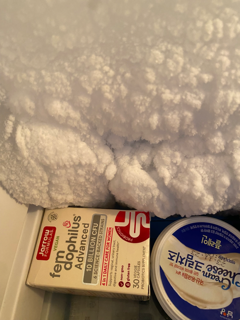 질유산균 성에 생기는부분 옆에 보관의 0번 째 이미지