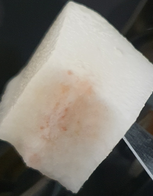 참외 속에 빨간색으로 변한건 왜그렇죠?의 0번 째 이미지