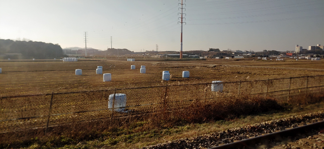 논에 하얀비닐 물체는 무슨 용도로 쓰이나요??의 0번 째 이미지