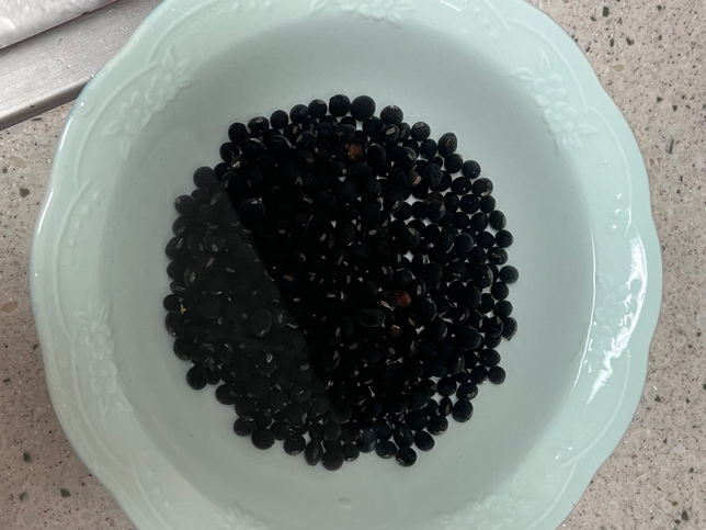 콩이 상한건 어떻게알수있나요?의 0번 째 이미지