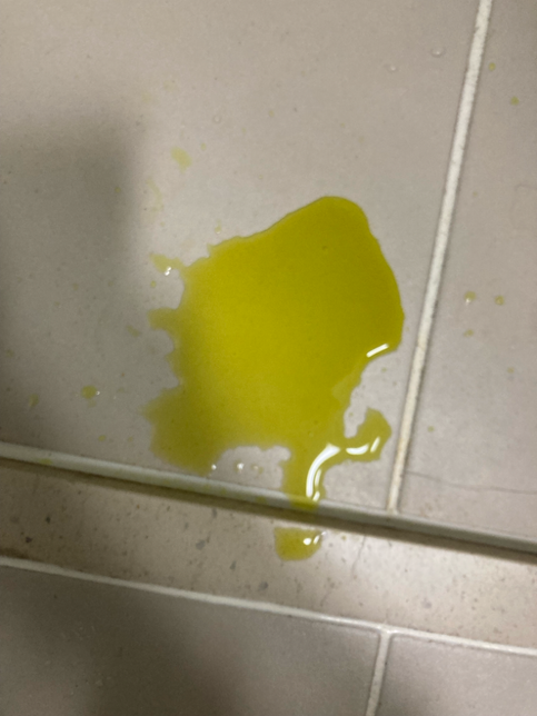 강아지 소변 색상이 조금 이상한 거 같아요!의 0번 째 이미지